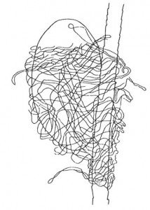 Egg web of the fur mite