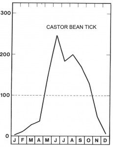 High season for castor bean tick in June