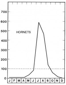 High season for hornets in July