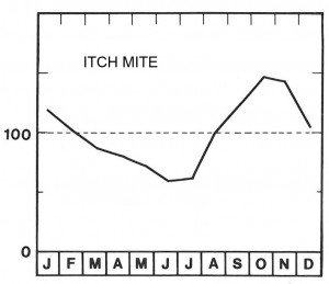 Reports of itch mite occurrences