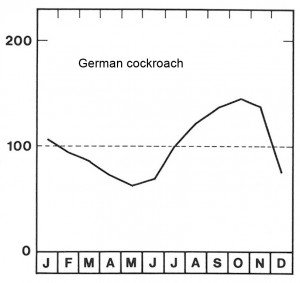 Season for German cockroach