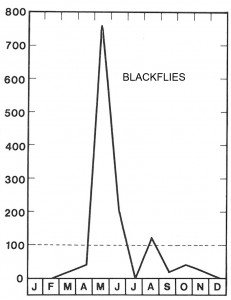 Season for blackflies