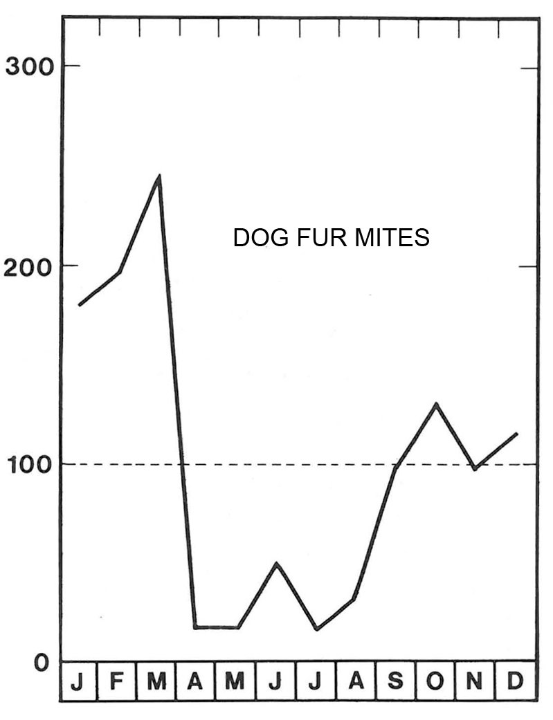 Fur mite bites – A complicated affair