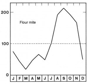 Season for flour mites