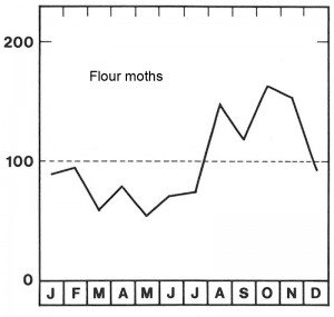 Season for flour moths