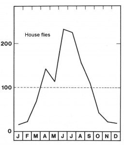 Season for house flies