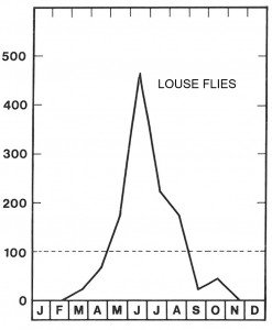 Season for louse flies