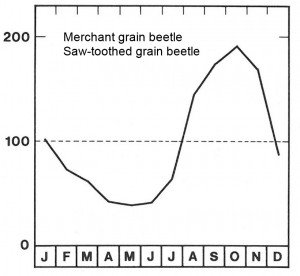 Season for merchant grain beetle and saw-toothed grain beetle