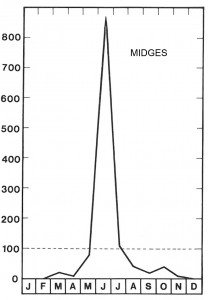 Season for midges in june