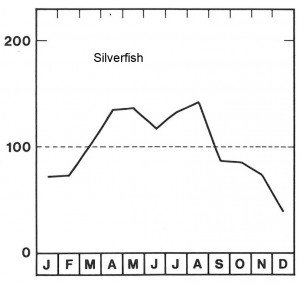 Season for silverfish