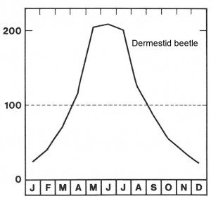 DERMESTID MONITORS