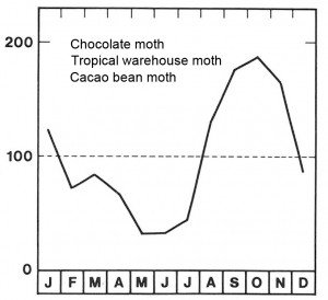 Season for the two chocolate moths