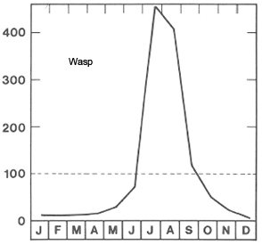 Season for wasps