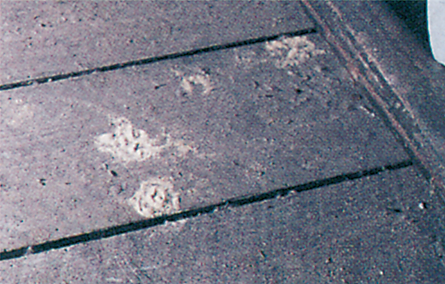 Borer dust on wooden floor from furniture beetles