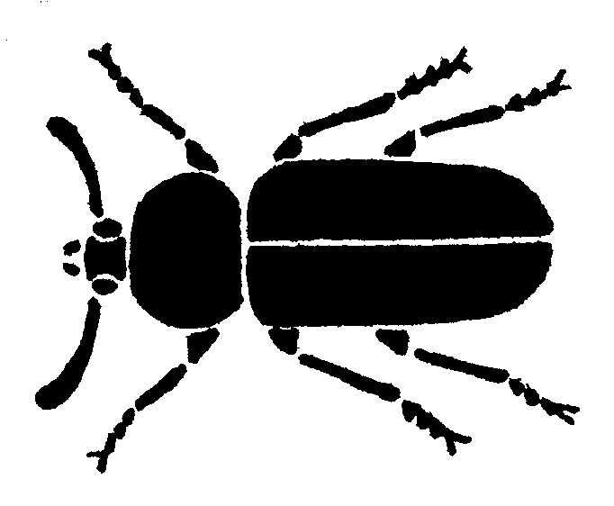 Silhouette of insect - Pests in House and Home - Page 13