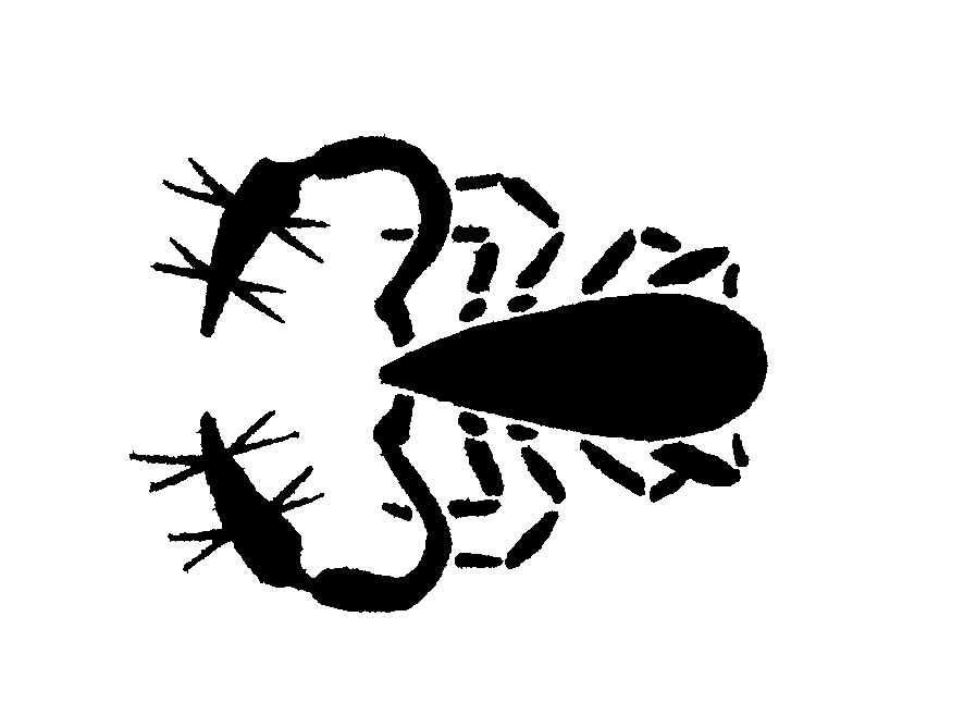 Silhouette of pseudoscorpion - Pests in House and Home - Page 12