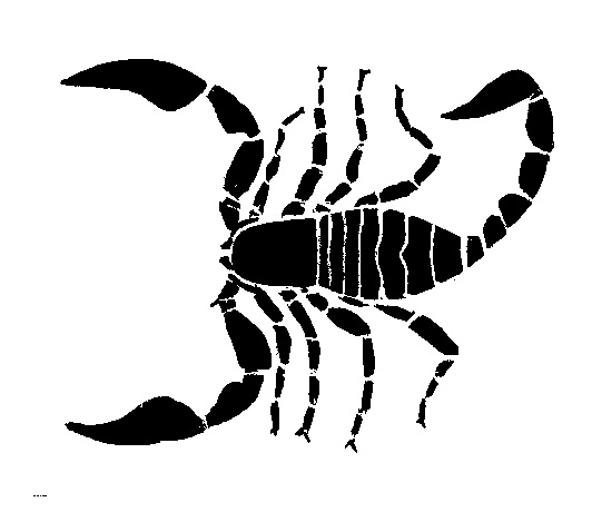 Silhouette of scorpion body - Pests in House and Home - Page 12