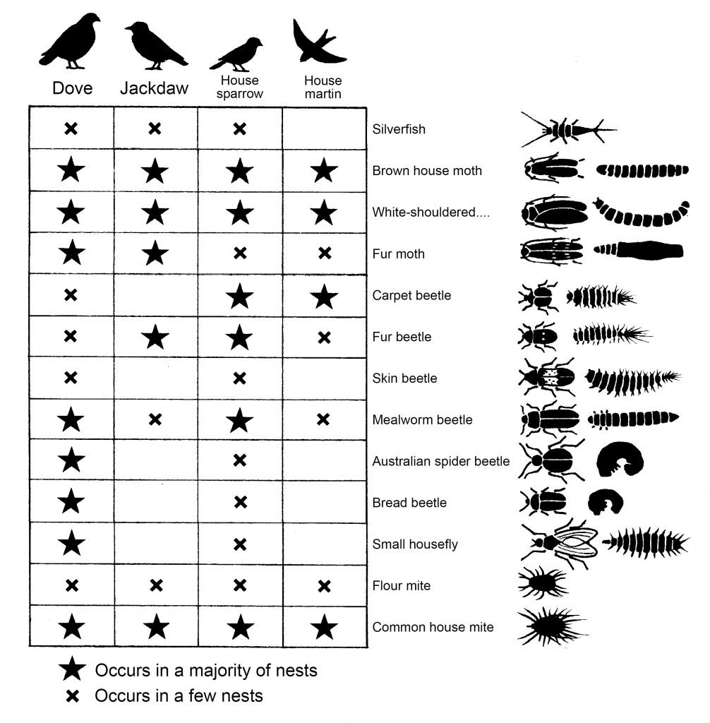 The occurance of pests in birds' nests