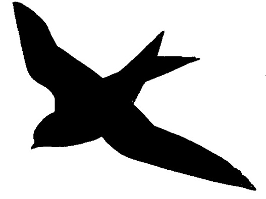 Silhouette of house martin