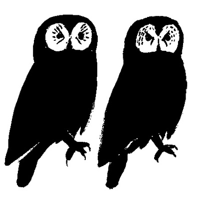 Silhouette of owls